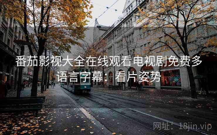 番茄影视大全在线观看电视剧免费多语言字幕：看片姿势