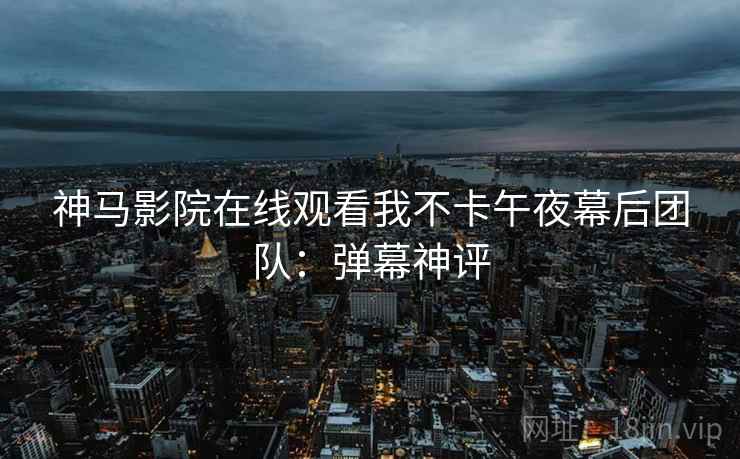 神马影院在线观看我不卡午夜幕后团队：弹幕神评