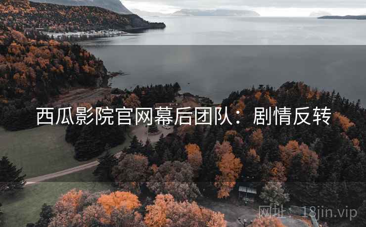 西瓜影院官网幕后团队：剧情反转
